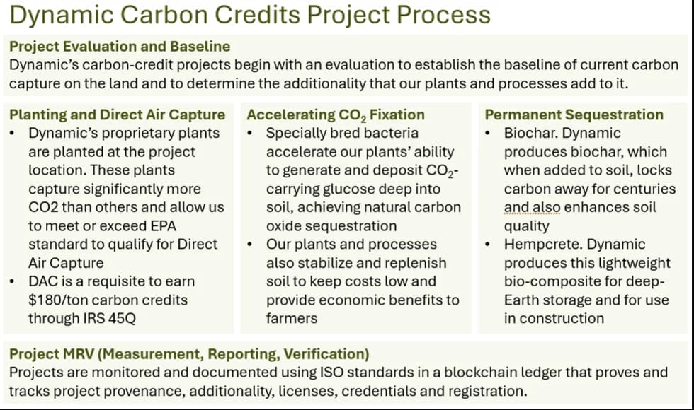Project Process