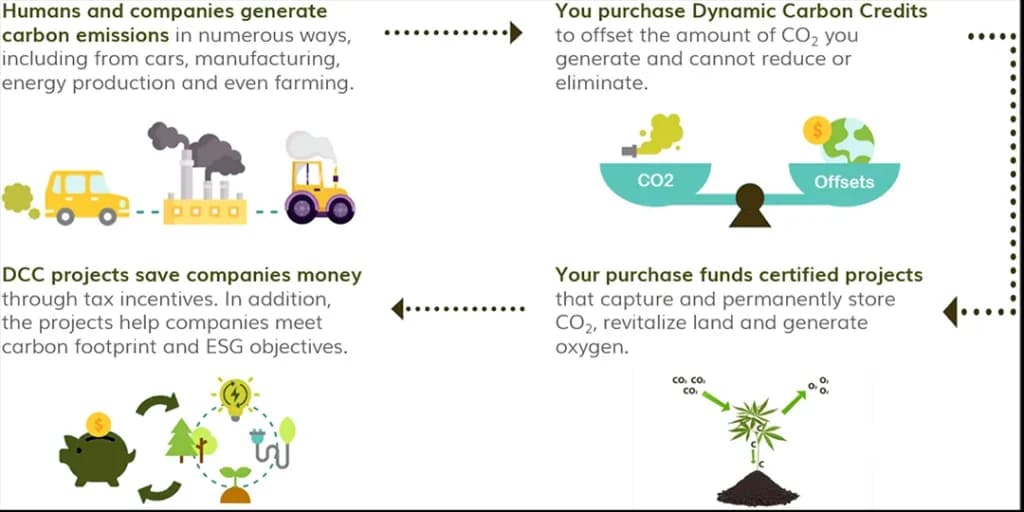 How Carbon Credits Work