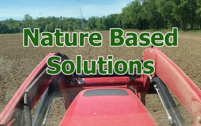 Baseline: The Climate Crisis, Nature-Based Solutions and the Carbon Credits Market