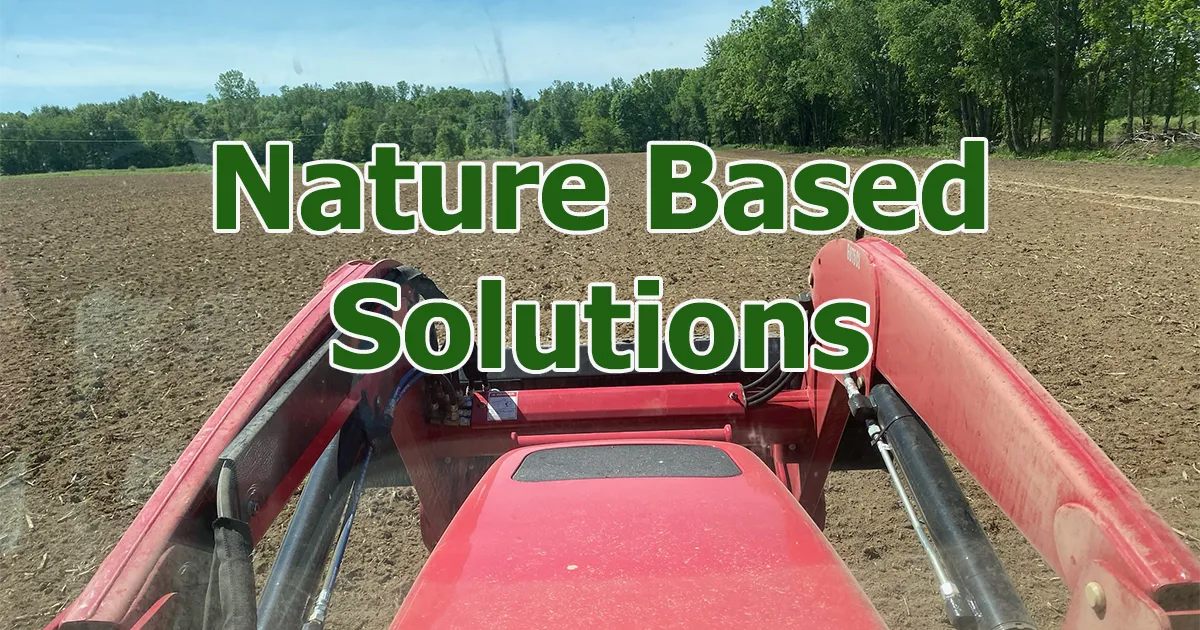 nature based solutions