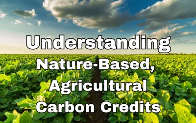 Understanding Nature-Based, Agricultural Carbon Credits: It’s All in the Details