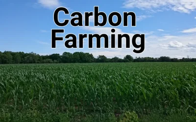 The Economics of Carbon Farming: Financial Benefits of Sustainable Practices