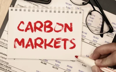 Understanding Carbon Market Standards: A Guide to Verified and High-Quality Credits