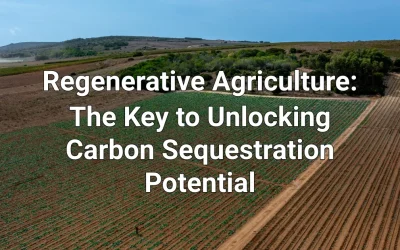 Regenerative Agriculture: The Key to Unlocking Carbon Sequestration Potential